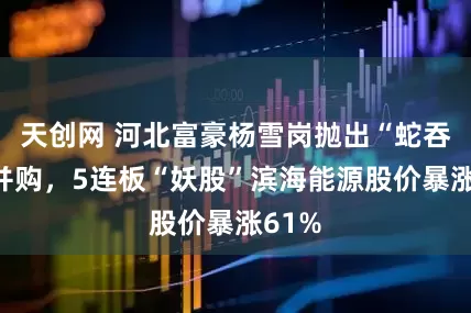 天创网 河北富豪杨雪岗抛出“蛇吞象”并购，5连板“妖股”滨海能源股价暴涨61%