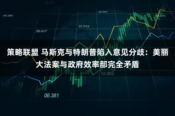 策略联盟 马斯克与特朗普陷入意见分歧：美丽大法案与政府效率部完全矛盾