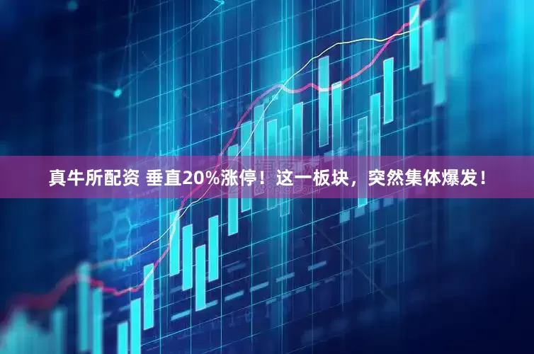 真牛所配资 垂直20%涨停！这一板块，突然集体爆发！