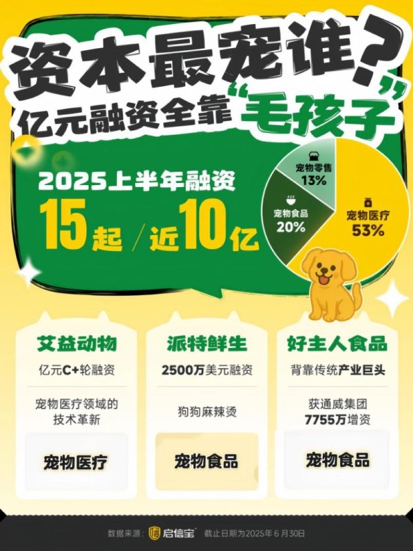 涨盈配 解码宠物经济：宠物写真上千元，比人贵一倍，谁在为情感“氪金”？