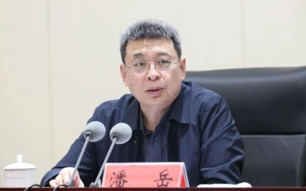 星合证券 正部级潘岳，有新职