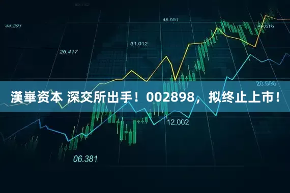 漢崋资本 深交所出手！002898，拟终止上市！